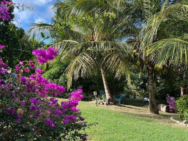 Jardin des Anges-Ch. Rose Apartment Le Moule Exterior foto