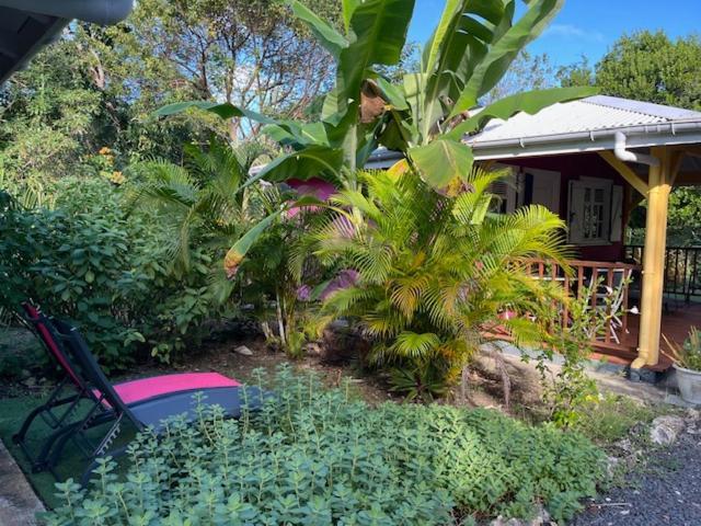 Jardin des Anges-Ch. Rose Apartment Le Moule Exterior foto